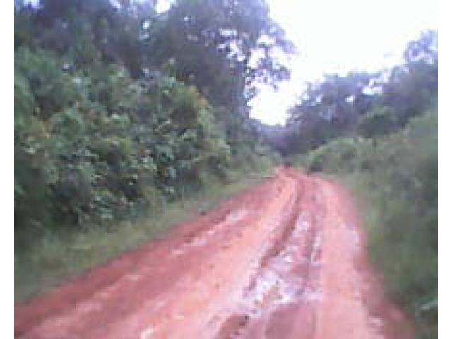 terrain agricole a vendre au cameroun