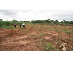  Terrain titré et loti de 5000m2 à vendre à NYOM (Yaoundé 1er) 