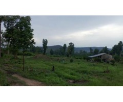 Terrain titré de 1000 m² à vendre à NOMAYOS derriere la total  (Yaoundé)