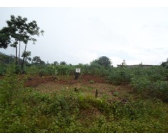 Terrain titré de 1200 m² à vendre à NOMAYOS (Yaoundé) 