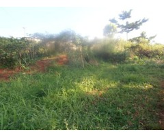  Terrain titré de 1200 m² à vendre à NOMAYOS (Yaoundé) 