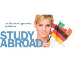 VISA à l'étranger pour le travail, les affaires et les études