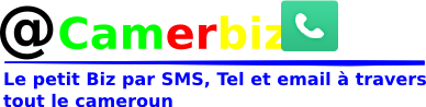 camerbiz.info : petites annonces gratuites  au Cameroun: services, produits, emplois, logement, transport.